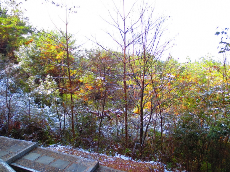 千岛湖雪景