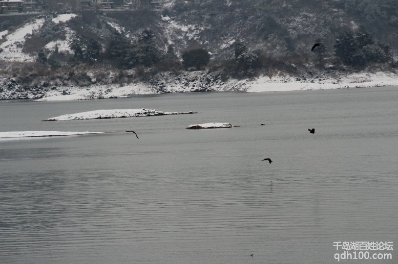 20130208千岛湖雪景 (1).JPG
