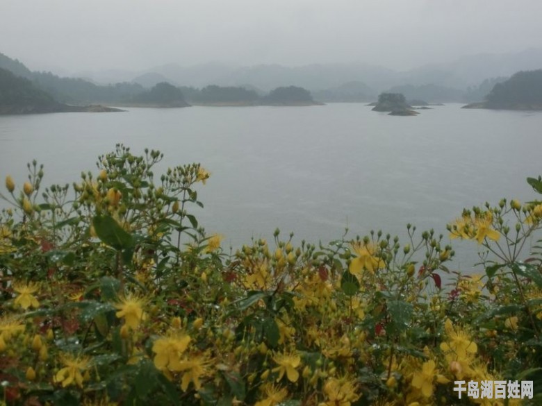 雨中千岛湖题图.jpg